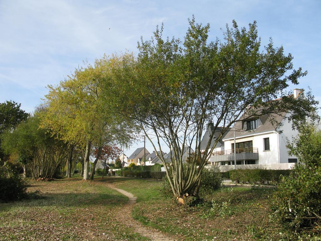 Villa Pecheur Damgan Exterior photo